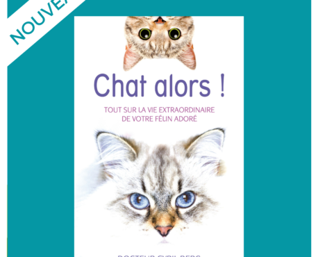 Les chats aussi ont droit à leur biographie